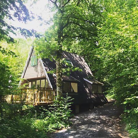 Chalet Het Hulstje Дюрби Екстериор снимка
